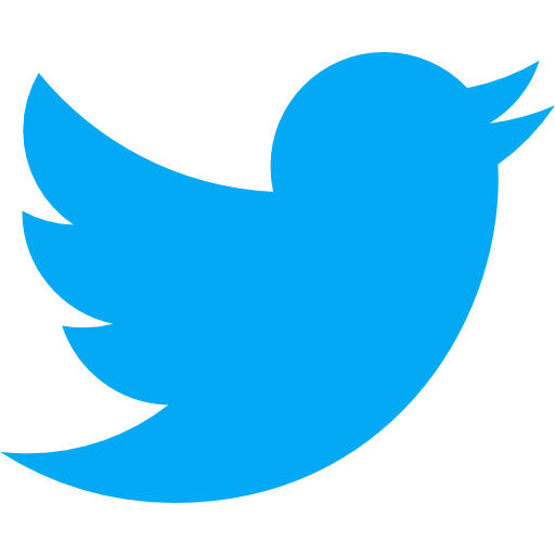 Twitter Advertising